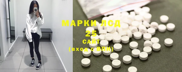 хмурый Алзамай