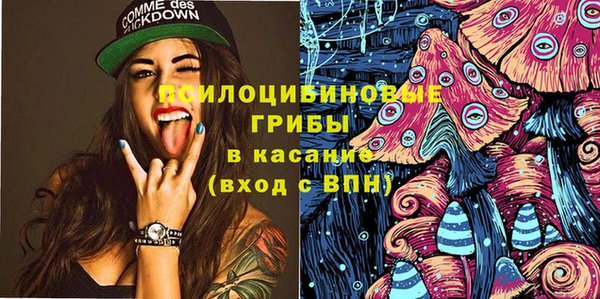 хмурый Алзамай