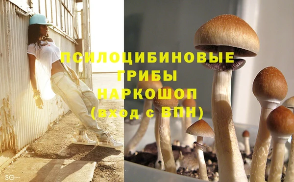 хмурый Алзамай