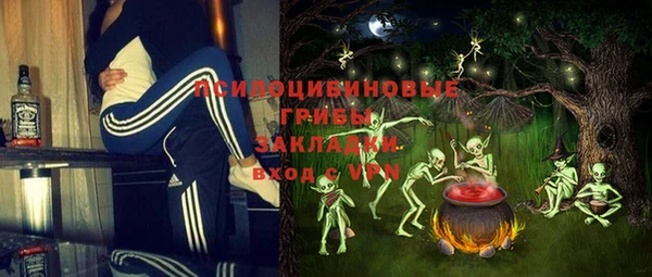молекула духа Алексин