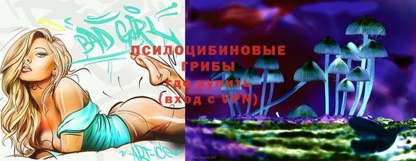 хмурый Алзамай