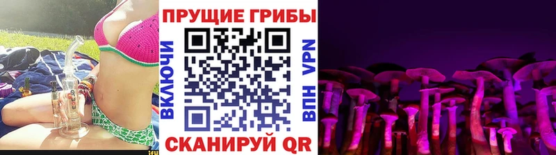 купить   Уяр  Галлюциногенные грибы Cubensis 